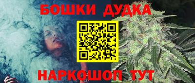 крисы Гатчина