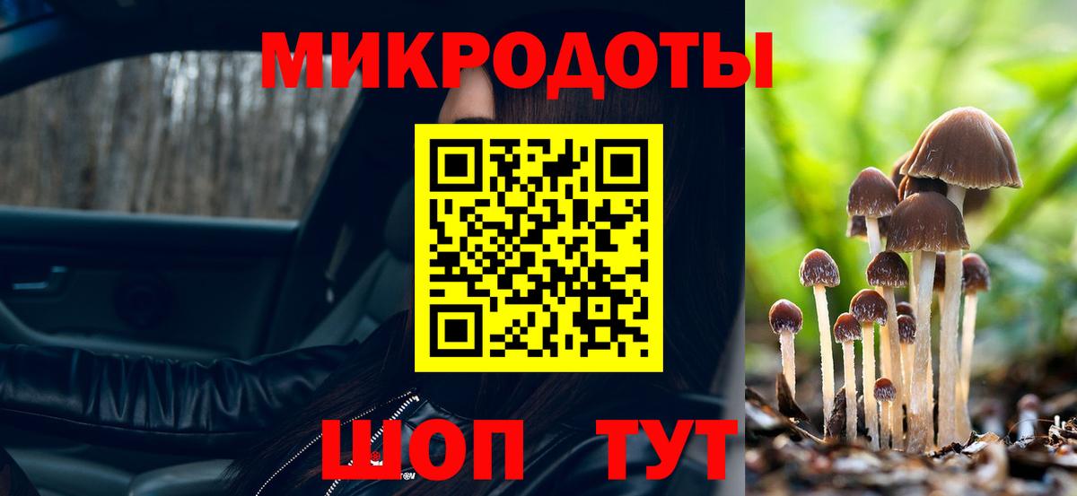 Галлюциногенные грибы Psilocybe  Псилоцибиновые грибы прущие грибы  Новороссийск  Вход с VPN 